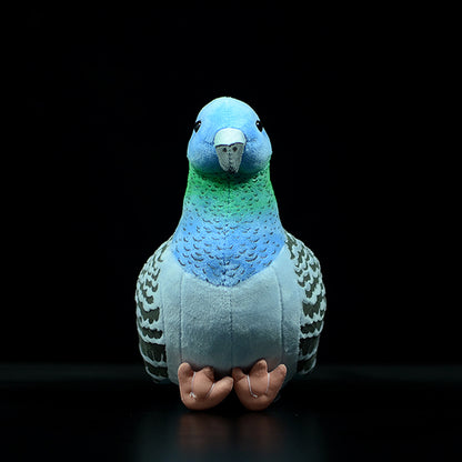 c6a17535385572b431c3c3c6038fc5d9